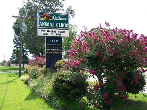 Come visit us soon