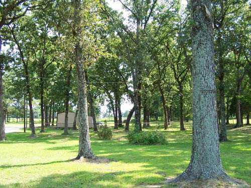 From the moment that you drive onto our beautiful, wooded, 5-acre lot we want you and your pets to feel at home.