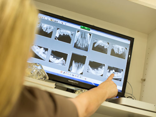 From our in-house laboratory and pharmacy…